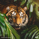 indonésie - tigre de sumatra