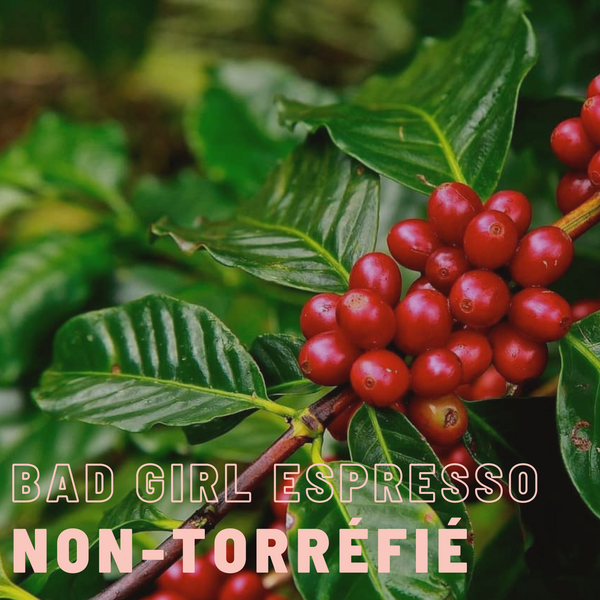 Green coffee (unroasted) Bad Girl Espresso