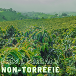 Café vert (non-torréfié) Brésil Cerrado Barbosa