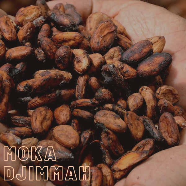 Moka Djimmah Coffee