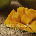 Café Panama - Geisha La Esmeralda