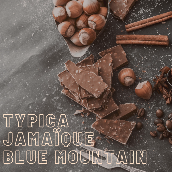 Typica Jamaïca Blue Mountain Coffee